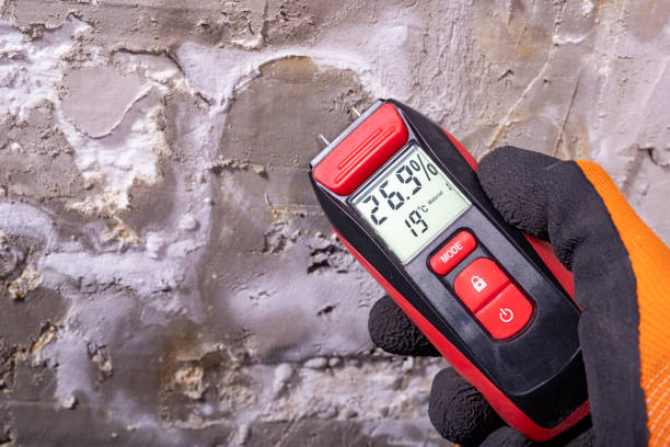 Best Commercial Mold Removal  in Gordon, GA