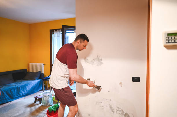 Best Toxic Mold Removal  in Gordon, GA